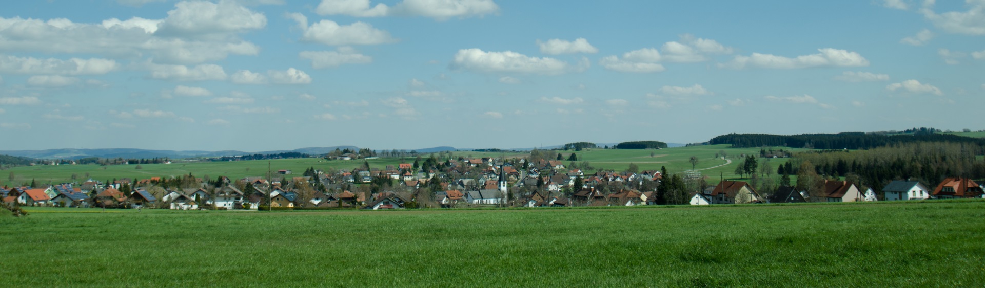 Hintergrundbild der Gemeinde Friedenweiler
