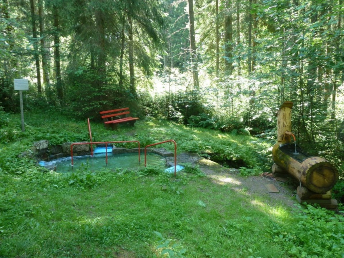 Wassertretstelle Märchenwald in Friedenweiler Wassertretstelle Märchenwald in Friedenweiler